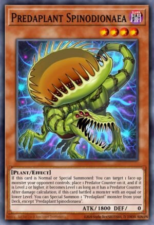 Predaplant Spinodionaea (FUEN-EN004)