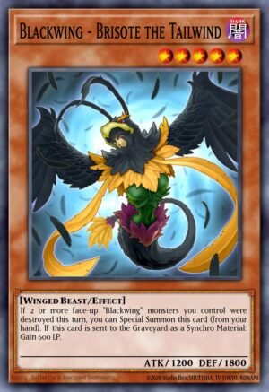 Blackwing – Brisote the Tailwind