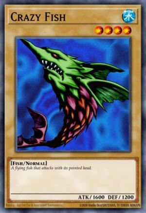Crazy Fish Crazy Fish