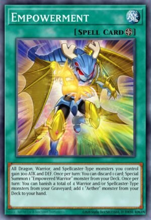 Empowerment (MP17-EN121)