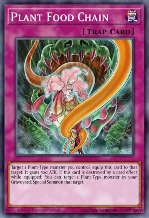 Plant Food Chain (BP03-EN212)