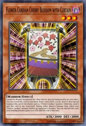 Flower Cardian Cherry Blossom with Curtain (RATE-EN012)