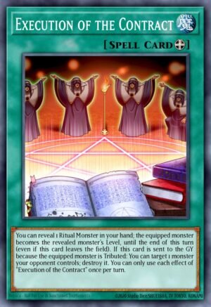 Execution of the Contract (IGAS-EN084)