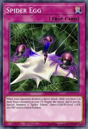 Spider Egg Spider Egg