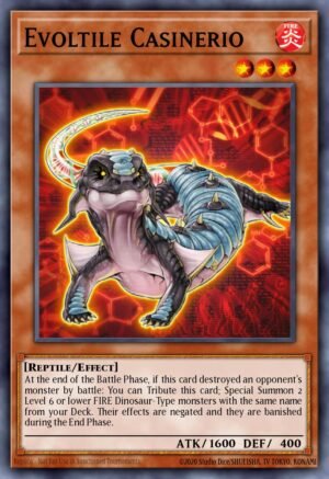 Evoltile Casinerio (ORCS-EN026)
