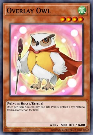 Overlay Owl (GAOV-EN003)