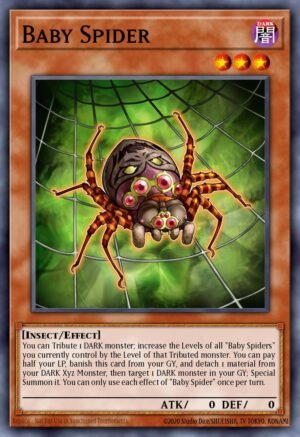 Baby Spider Baby Spider