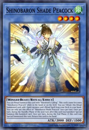 Shinobaron Shade Peacock (AGOV-EN029)