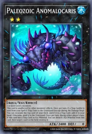 Paleozoic Anomalocaris (MP17-EN126)