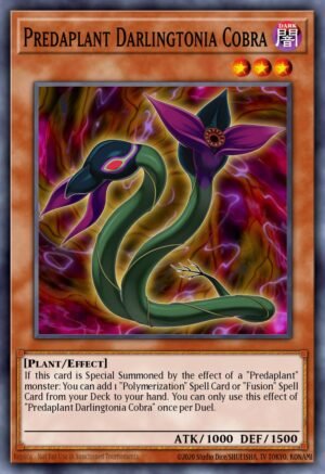 Predaplant Darlingtonia Cobra (MACR-EN010)
