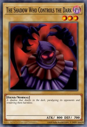 The Shadow Who Controls the Dark The Shadow Who Controls the Dark