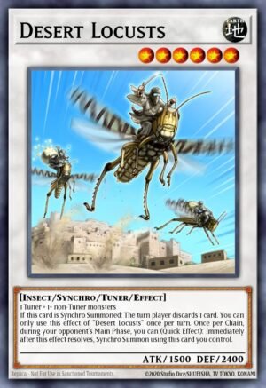 Desert Locusts (CHIM-EN082)