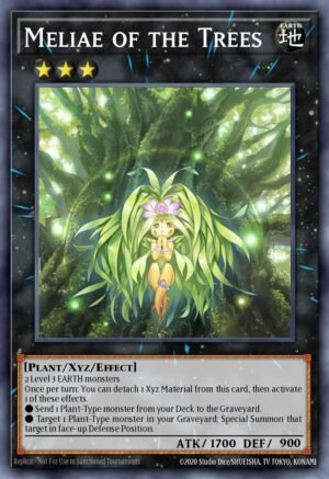 Meliae of the Trees (MP14-EN165)