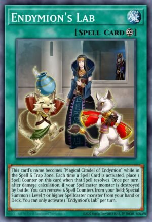 Endymion's Lab (SR08-EN023)