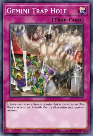 Gemini Trap Hole (PTDN-EN073)