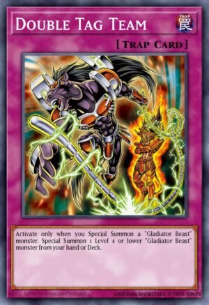 Double Tag Team (PTDN-EN076)