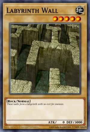 Labyrinth Wall (SGX2-END02)