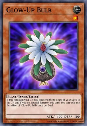 Glow-Up Bulb (LC5D-EN092)