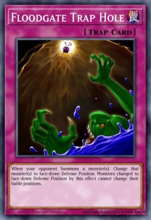 Floodgate Trap Hole (MP17-EN114)