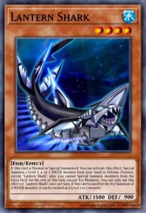 Lantern Shark (ETCO-EN018)