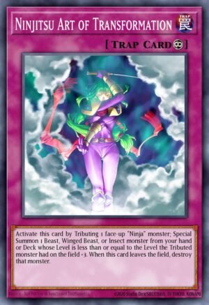 Ninjitsu Art of Transformation (SD8-EN035)