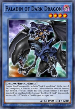 Paladin of Dark Dragon (DLCS-EN069)
