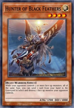 Hunter of Black Feathers (TSHD-EN038)