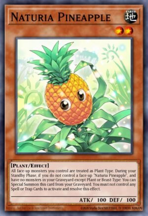 Naturia Pineapple (HASE-EN002)