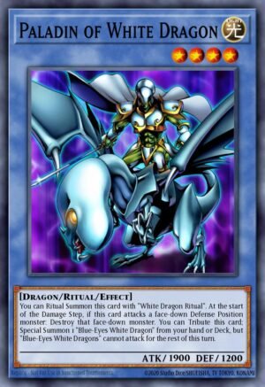 Paladin of White Dragon (DPKB-EN024)