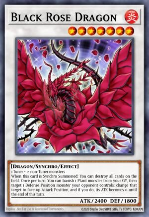 Black Rose Dragon Black Rose Dragon