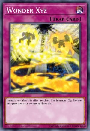 Wonder Xyz