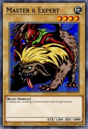 Master & Expert (SDK-016)