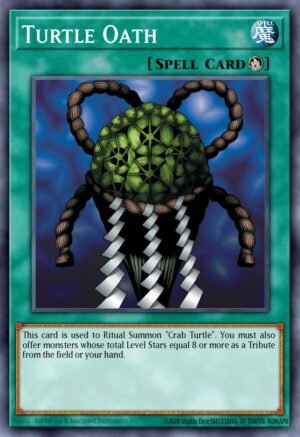 Turtle Oath
