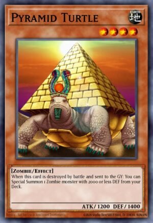Pyramid Turtle (CP02-EN004)