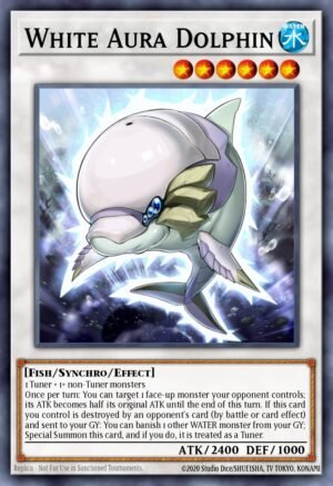 White Aura Dolphin White Aura Dolphin