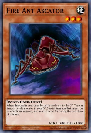 Fire Ant Ascator (ABPF-EN020)