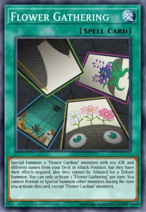 Flower Gathering (DLCS-EN136)