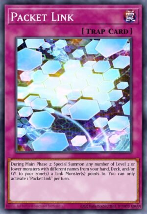 Packet Link (SDPL-EN031)