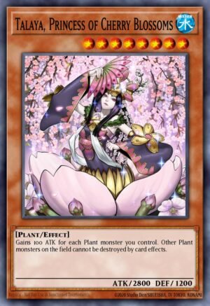 Talaya, Princess of Cherry Blossoms