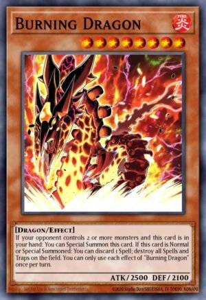 Burning Dragon Burning Dragon