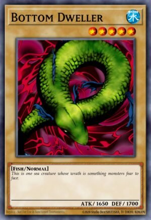 Bottom Dweller Bottom Dweller