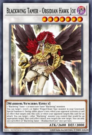 Blackwing Tamer – Obsidian Hawk Joe
