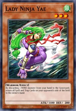 Lady Ninja Yae (AST-030)