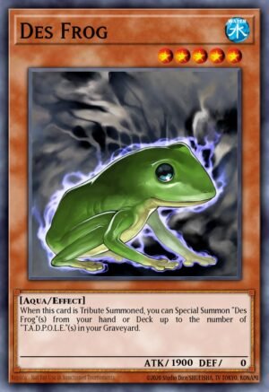 Des Frog (CRV-EN026)
