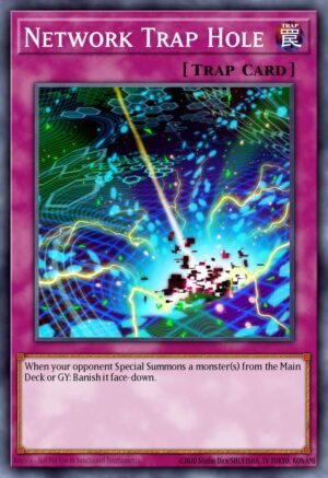 Network Trap Hole (FLOD-EN076)