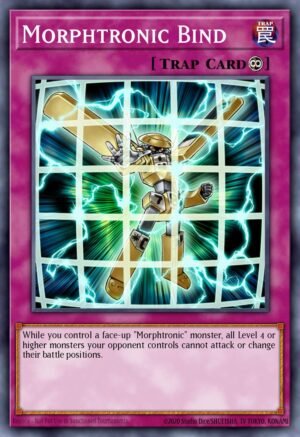 Morphtronic Bind (RGBT-EN072)