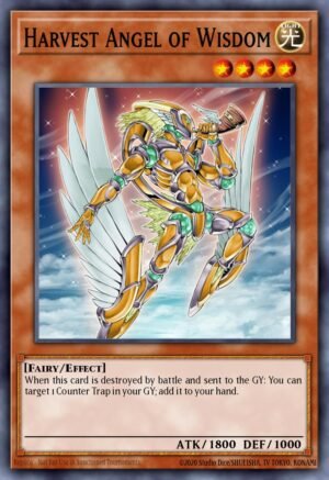 Harvest Angel of Wisdom (CSOC-ENSE1)
