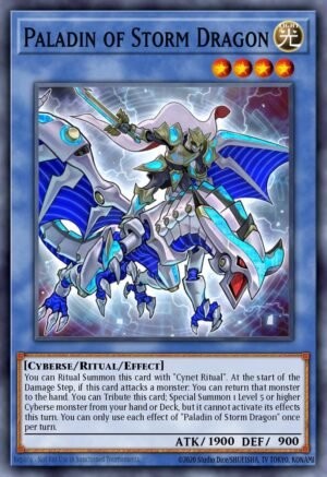 Paladin of Storm Dragon (CYHO-EN031)