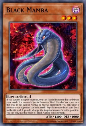 Black Mamba Black Mamba