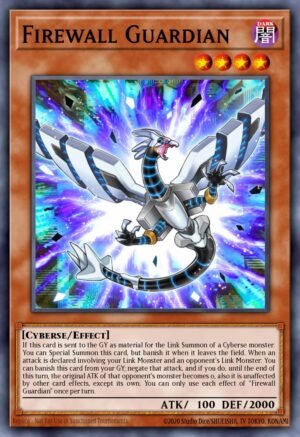 Firewall Guardian (DANE-EN001)